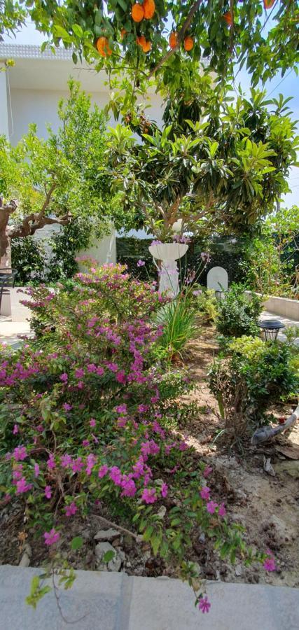 Aeropis Villa, Chania Feriehus Khania